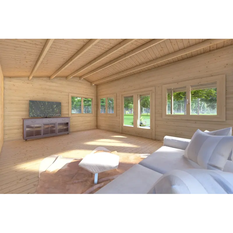 Abris de jardin NELLA 6x4.2 avec auvent intégré 6x1.6 44mm, intérieur