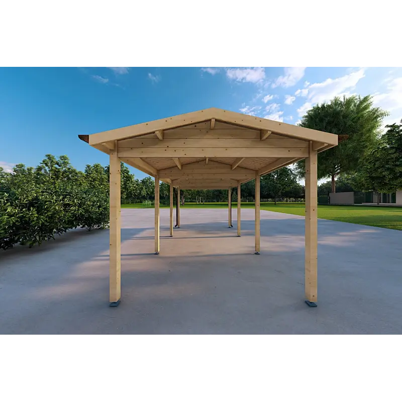 Carport en bois 6x3, 18 m², vue arrière