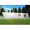 Mobil home VISION 1 avec patio 4x14 44/100/30/40 mm, côté droit couleur gris bois