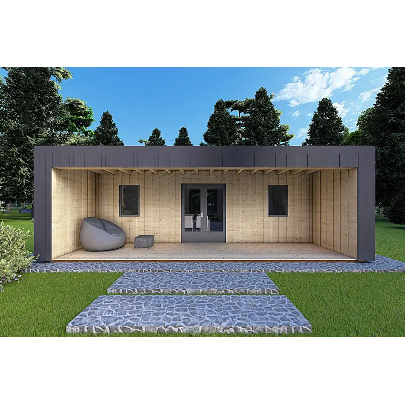 Bungalow moderne en bois​ VISION 2 avec patio 8x6 60/100/30/40 mm, vue frontale couleur anthracite