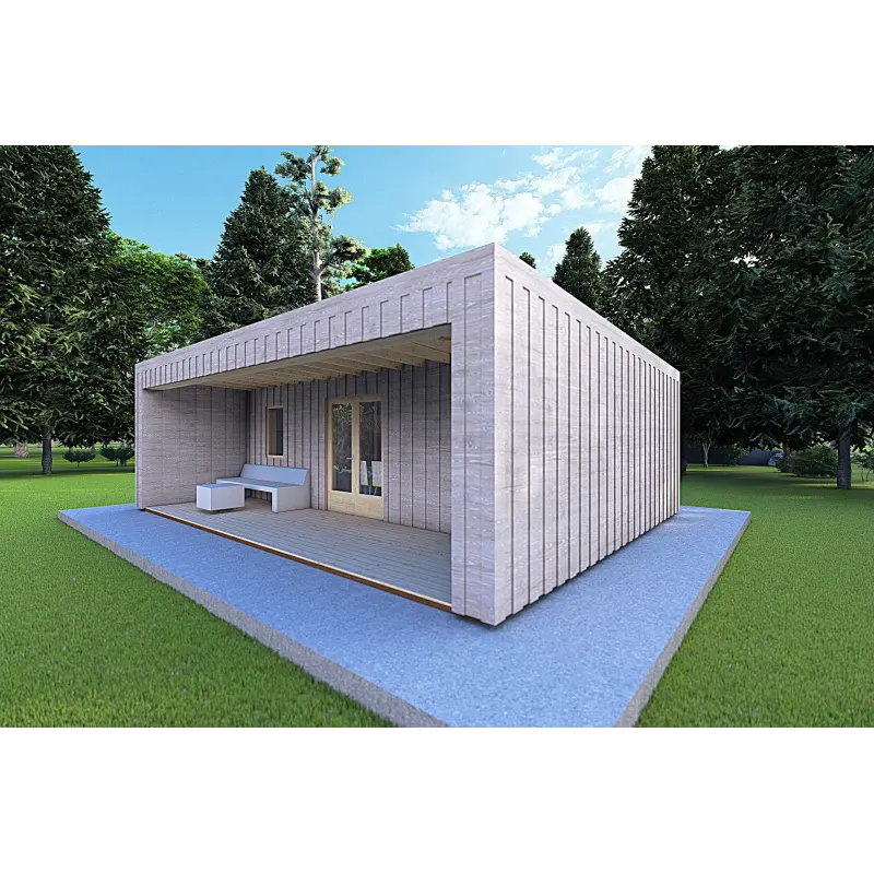 Bungalow moderne en bois​ VISION 2 avec patio 8x6 60/100/30/40 mm, façade côté droit couleur gris bois