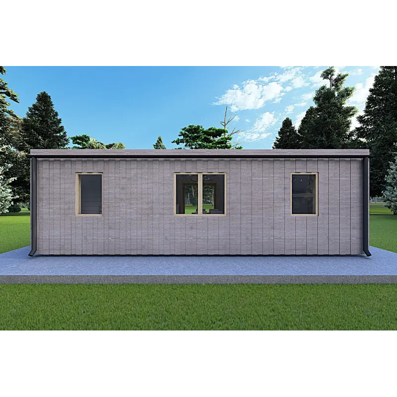 Bungalow moderne en bois​ VISION 2 avec patio 8x6 60/100/30/40 mm, vue arrière couleur gris bois