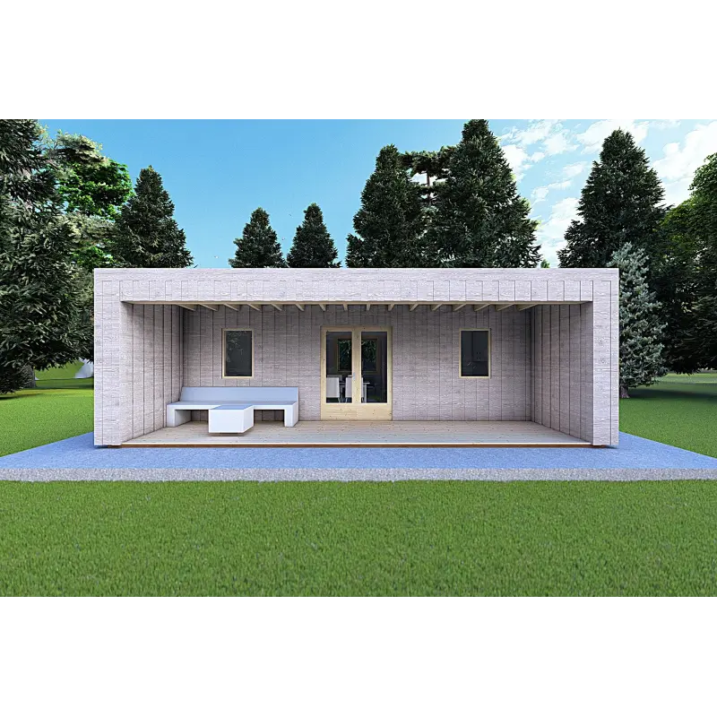 Bungalow moderne en bois​ VISION 2 avec patio 8x6 60/100/30/40 mm, vue frontale couleur gris bois