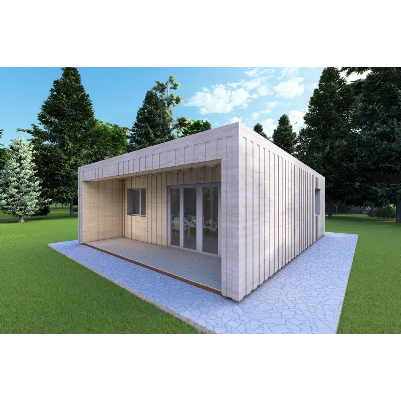 Mobil home VISION 2 CUBE "C" avec patio 7x8 44/100/30/40 mm, façade côté droit couleur gris bois