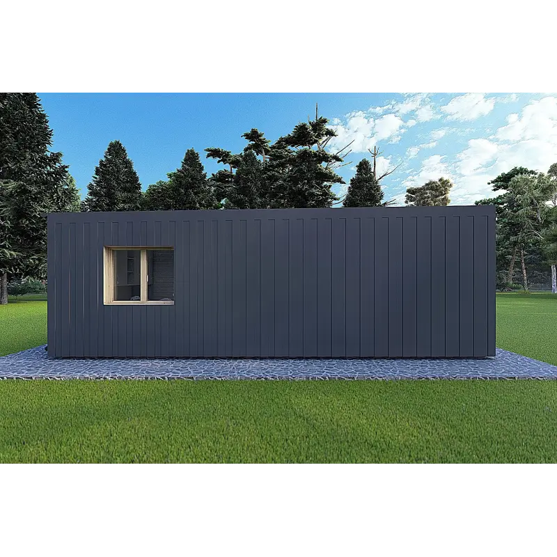 Mobil home VISION 2 CUBE "C" avec patio 7x8 44/100/30/40 mm, côté gauche couleur anthracite