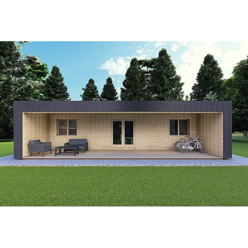 Bungalow moderne en bois​ VISION 3 avec patio 10x6 60/100/30/40 mm, vue frontale couleur anthracite