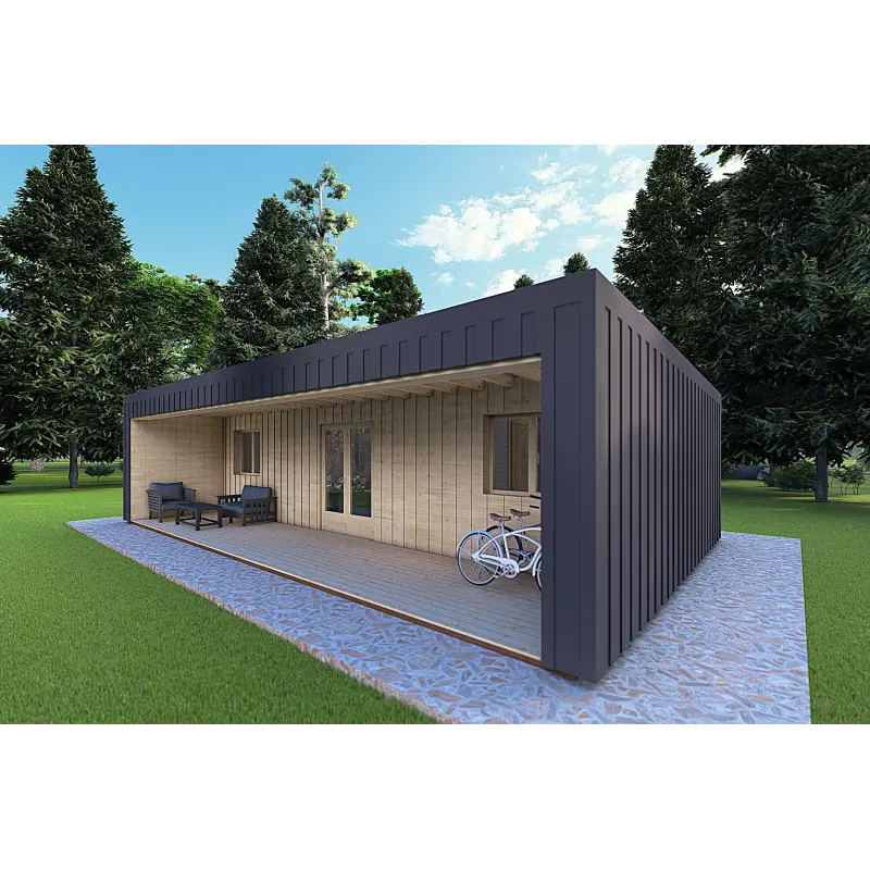 Bungalow moderne en bois​ VISION 3 avec patio 10x6 60/100/30/40 mm, façade côté droit couleur anthracite