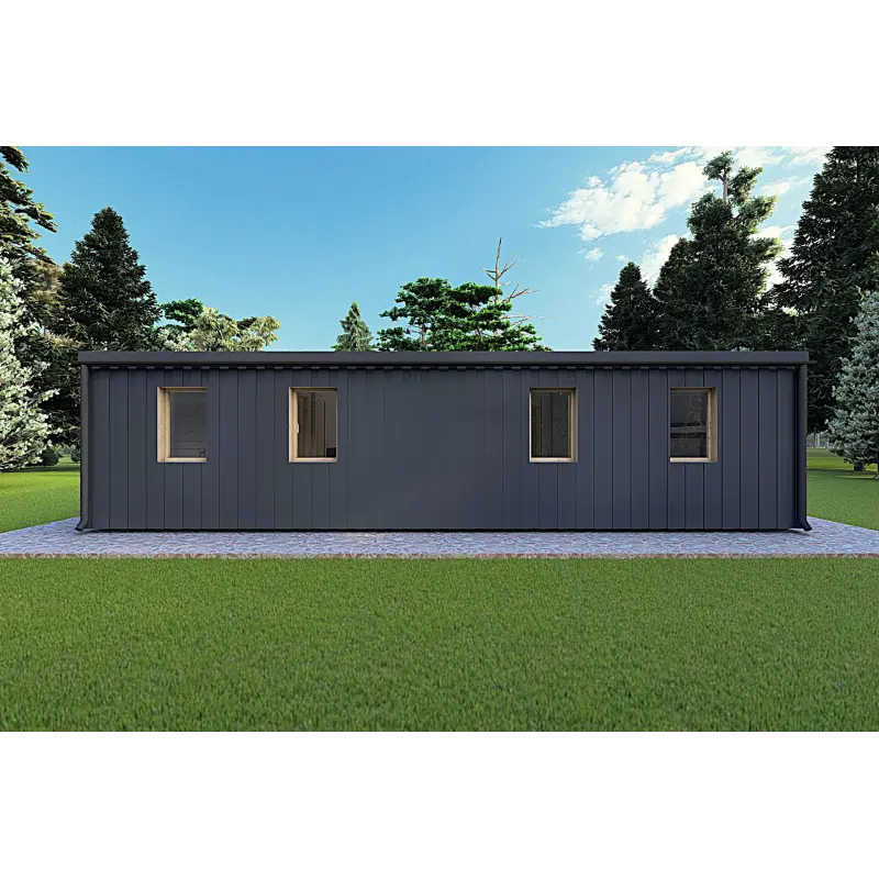 Bungalow moderne en bois​ VISION 3 avec patio 10x6 60/100/30/40 mm, vue arrière couleur anthracite