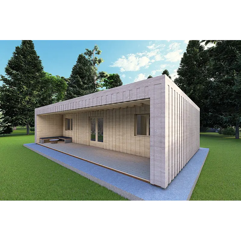 Bungalow moderne en bois​ VISION 3 avec patio 10x6 60/100/30/40 mm, façade côté droit couleur gris bois