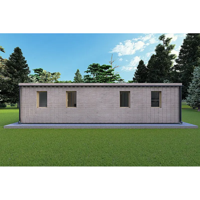 Bungalow moderne en bois​ VISION 3 avec patio 10x6 60/100/30/40 mm, vue arrière couleur gris bois