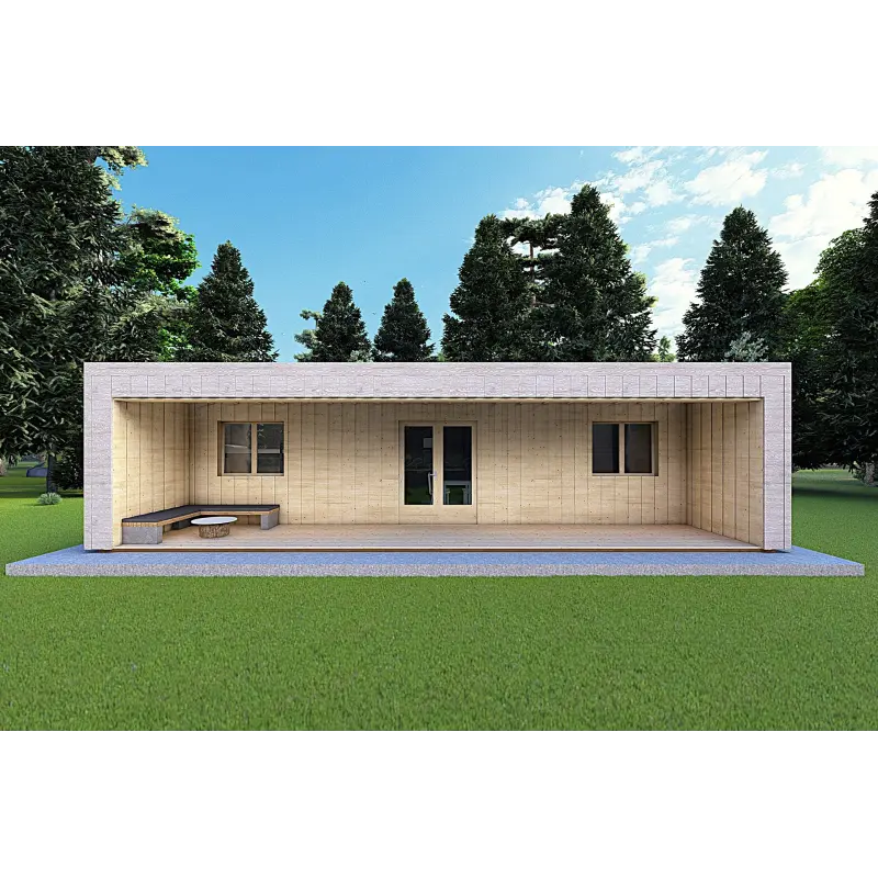 Bungalow moderne en bois​ VISION 3 avec patio 10x6 60/100/30/40 mm, vue frontale couleur gris bois